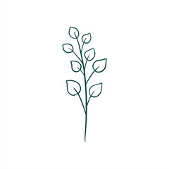 Fototapeta na wymiar botanical leaf doodle wildflower line art