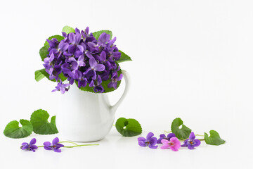 Spring bouquet of violet flowers of viola odorata in vase on white background, text copy space....