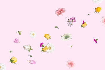 Spring flowers fly on a pink background. Summer aesthetic concept.