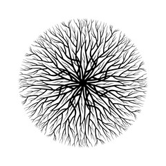 Circle Root Tree of Life Symbol Vector Illustration Isolated on White