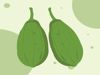 Summer Fruits Green Papayas Vector