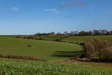 A view over South Downs farmalnd on a sunny winter's day