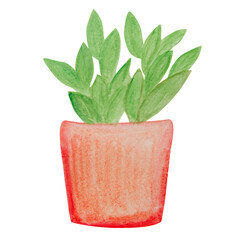 Pot with a green plant painted in watercolor and isolated on a white background.