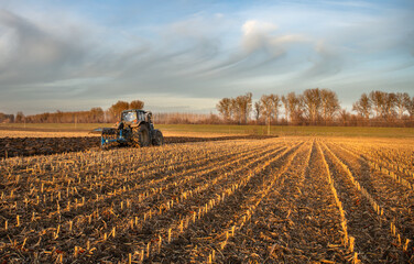 Obraz premium Tractor on the field during sunset.