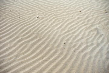 Texture of small sand dunes formed by the wind