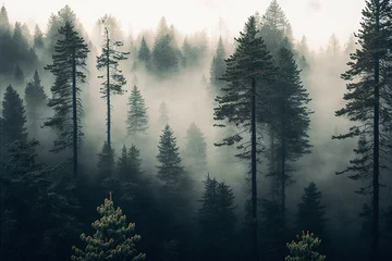 Crédence de cuisine en verre imprimé Forêt dans le brouillard Beautiful foggy dark green forest, top view, aerial photography. Fantasy forest landscape. AI