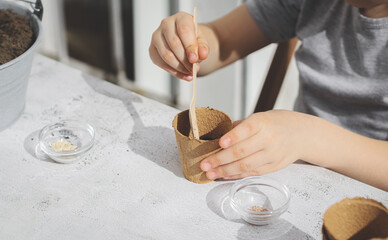 A caucasian girl plants seeds in a cardboard cup picking up the ground.