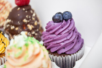 Colorful cupcakes with swirled cream frosting and berries. Vanilla, chocolate, blueberry and raspberry cupcakes. Party box blueberry muffin.