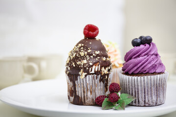 Colorful cupcakes with swirled cream frosting and berries. Blueberry and chocolate cupcakes. Decorated dessert