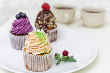 Colorful cupcakes with swirled cream frosting and berries. Blueberry, chocolate and vanilla cupcakes. Decorated dessert. Assorted cupcakes.