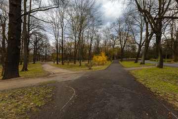 Long paths in park with benches on sides and full of old trees