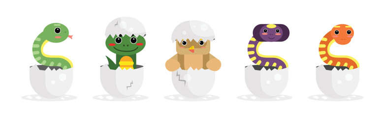 Chick and Reptile Hatching from Cracked Egg Shell Vector Set