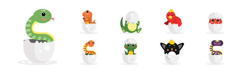 Chick and Reptile Hatching from Cracked Egg Shell Vector Set