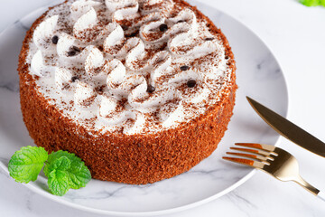 Perfect homemade tiramisu cake sprinkled with cocoa powder on plate over