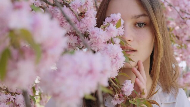 Sensual caucasian woman with brown hair covering half of face with branches of blooming sakura tree. Lady standing in the park. Seasonal flowering and femininity concept. Face portrait