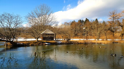 Fototapeta na wymiar 軽井沢塩沢湖（冬期）1
