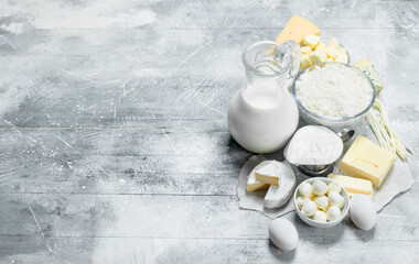 Different dairy products .