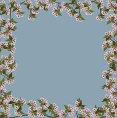 frame from pink flowers and green leaves