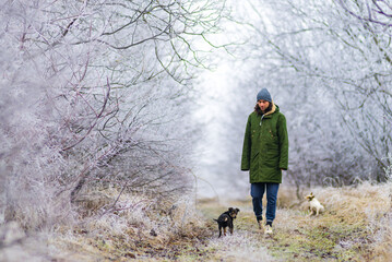 Obraz premium beautiful winter landscape with man playing dog background with snow covered trees Сhristmas hoarfrost Snow path dry grass White Alley background Moldova.