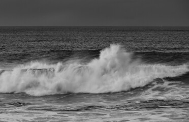 An afternoon on the Cantabrian coast with landscapes, fauna and waves!