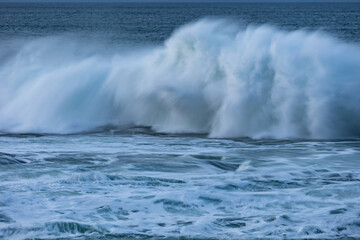 An afternoon on the Cantabrian coast with landscapes, fauna and waves!