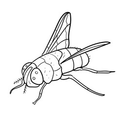 a fly vector LINES