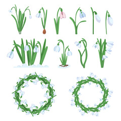 Fototapeta na wymiar Set of Snowdrop Flowers and Wreaths Isolated on White. Spring Blossoms Bloom, Floral Design Elements for Invitation