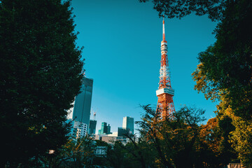 Obraz premium Tokyo Tower, against the background of Minato, Tokyo, Japan