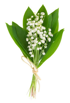lilly of the valley posy
