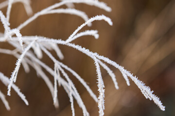 Winter wonderland. White winter landscape. Snow-covered countryside.