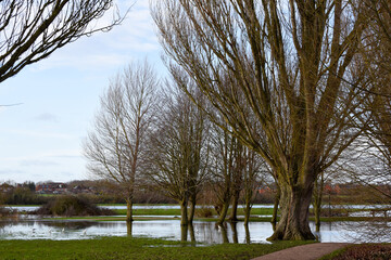 Flood water in a public park after the river banks burst from heavy rain