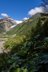 Picturesque view while hiking to the Glaciar Ventisquero Yelcho in Patagonia, Chile 