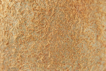 Kiwi fruit background. Kiwi texture. Close-up texture of a tropical fruit. Selective focus