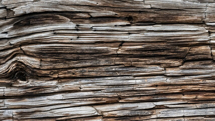 Natural Abstract: Weather Worn Wood Grain