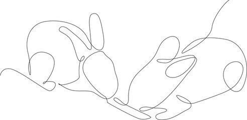 Continuous one line, drawing of a rabbit for many expression in white and black design. Chinese new year, rabbit zodiac, year of rabbit. Simple line Chinese new year.