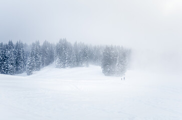 Obraz premium Backcountry skiers on a skiing trail in the mountains on a foggy winter day