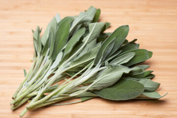 green sage on a wood background