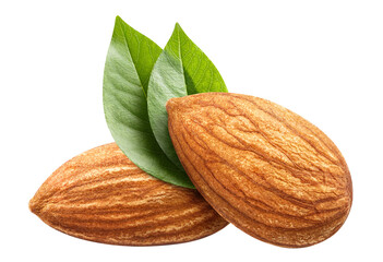 Fototapeta Two almonds with leaves cut out obraz