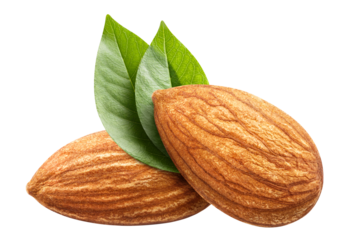 Two almonds with leaves cut out