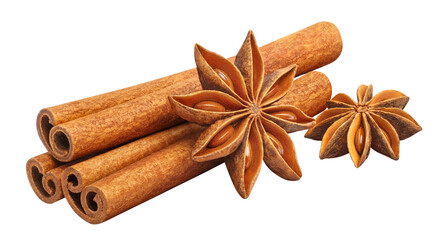 Cinnamon and star anise cut out