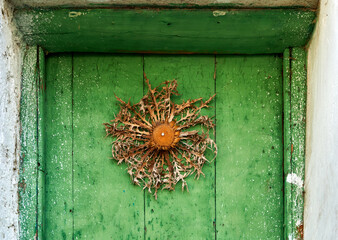 Eguzkilore (Carlina acanthifolia) nailed on a door, to avoid witches, spirits and protect the...