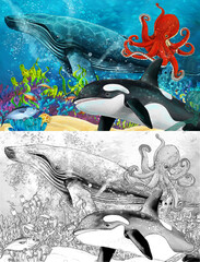 cartoon scene with whale and killer whale and octopus near coral reef - illustration for children