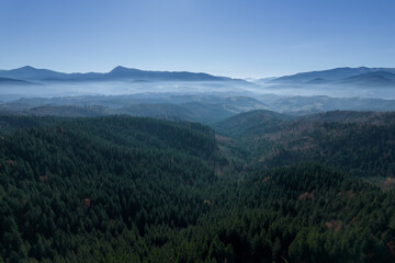 Panoramic view of morning light fog over green pine forest. View from above.