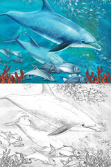 cartoon scene with coral reef animals underwater illustration