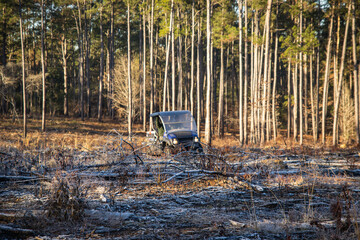 Golfcart in the forest