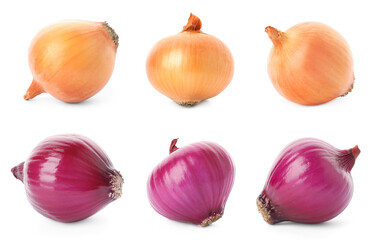Collage with yellow and red onions on white background