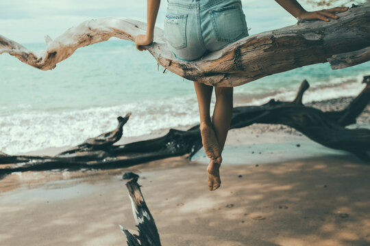 Low section of woman sitting on branch at beach