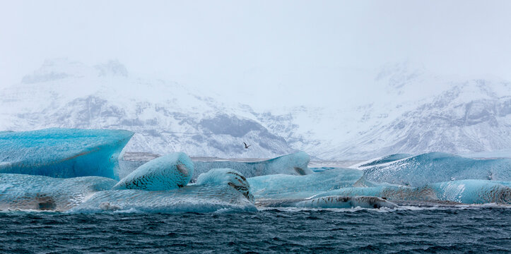 Floating icebergs on the Jokulsarlon glacier lagoon