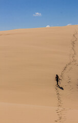 Fototapeta na wymiar Surf in the Sand Dunes