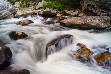 stream in the forest